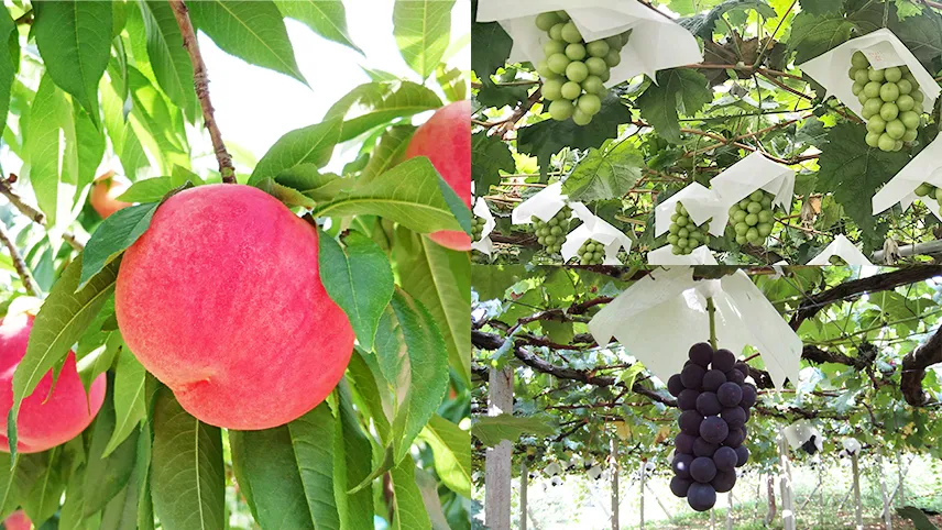 石和びゅーほてる